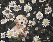 Puppy in the Daisies 20x16
