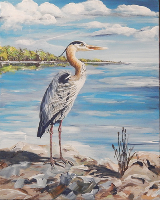 Blue Heron 16x20