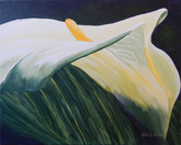 Calla 20x16