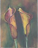 Calla Lilies 8x10