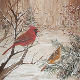 Cardinals 24x24