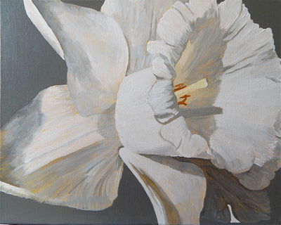 Daffodil in Grey 20x16