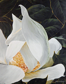 Demure Magnolia 22x28