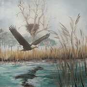 Eagle Over the Marsh 12x12