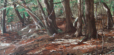 Enchanted Woods 27x13