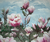 Magnolia