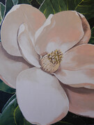 Magnolia Grandiflora 18x24