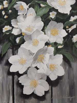 Mock Orange 12x16