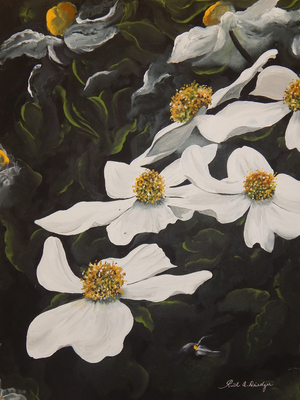 Pacific Dogwood 18x24