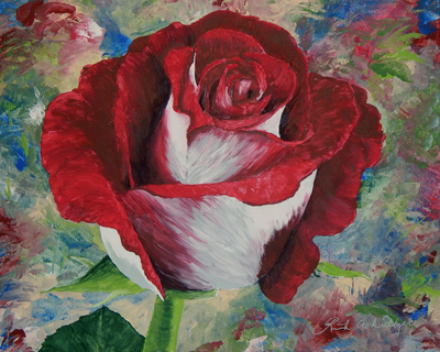 Rose 20x16