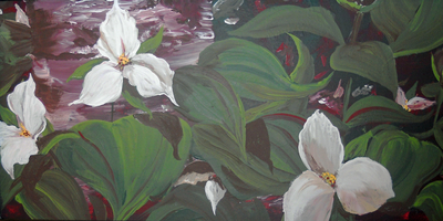 TRILLIUMS FOR SANDRA