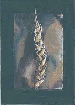 Wheat 5x7