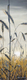 "Wheat" 10x30 (part of a triptych)