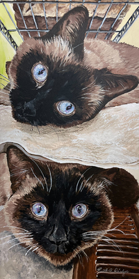 Which is Which?  12x24