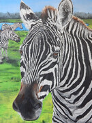 "Zebra" 18x24